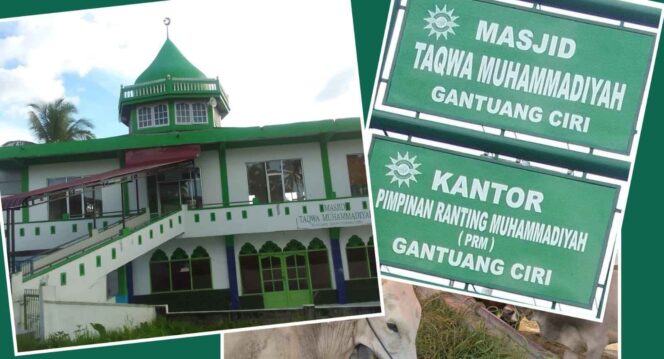 
 Masjid Taqwa Muhammadiyah Gantung Ciri.(Arizal Gozali)