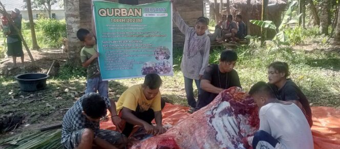 
 MDMC Sumbar salurkan bantuan hewan kurban ke pedalaman Mentawai. (Dok.Hafiz)